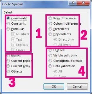 How to use GoTo Special in Excel Hindi