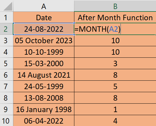 Month Function in excel in hindi